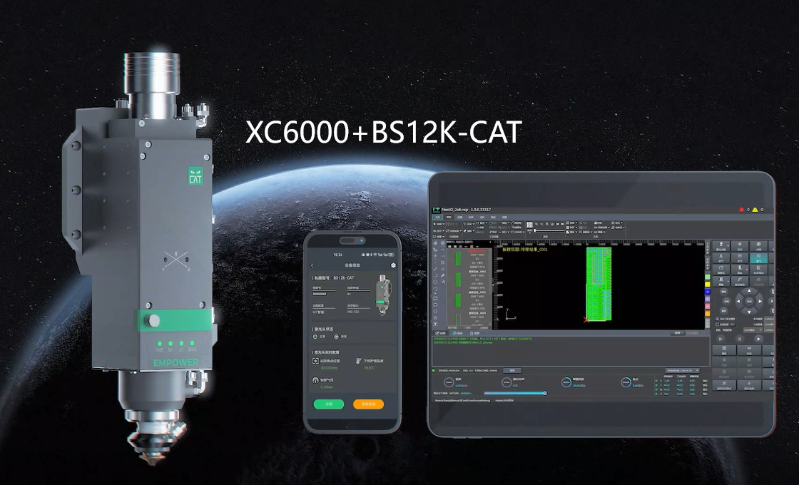 XC6000+BS12K-CAT������Ƶ